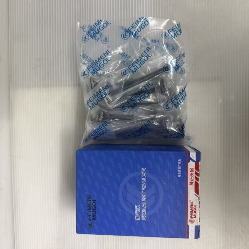 Professional Aftermarket Exhaust Valve 1007012-ED01 for Great Wall 4D20D & 4D20B Engines, Ideal for Engine Rebuilding and Repair.