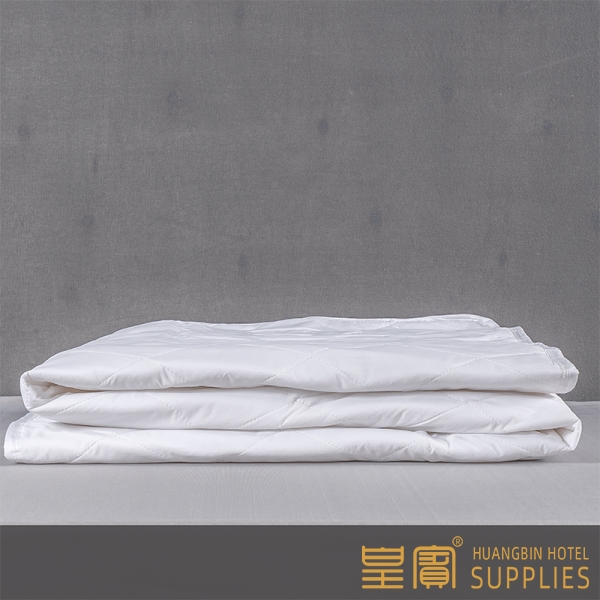 Home Anti Bud Quilted 200g Mattress Cover Protector