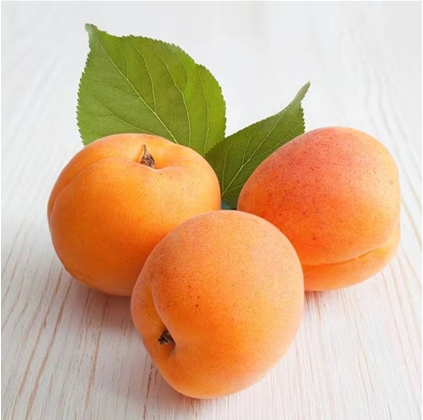 High Quality Hot Sale Fresh Canned Fruit Delicious Canned Yellow Peach in Syrup