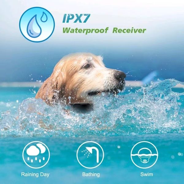 Rechargeable Eco-Friendly Nylon Dog Agility Training Collar Waterproof Walkie Talkie Remote Batteries Cute Modern Fashion Style