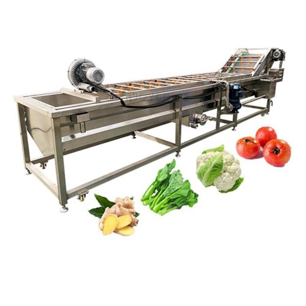 Máquina de lavar de limpeza de bolhas versátil para vegetais de folhas em lojas de alimentos e bebidas