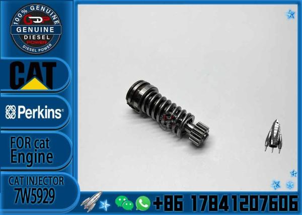 Diesel Fuel Injection Pump Plunger 1w6541 4p9830 9h5797 6n7527 Plunger Barrel 7W5929 Element for CAT 3304 3306 Diesel En