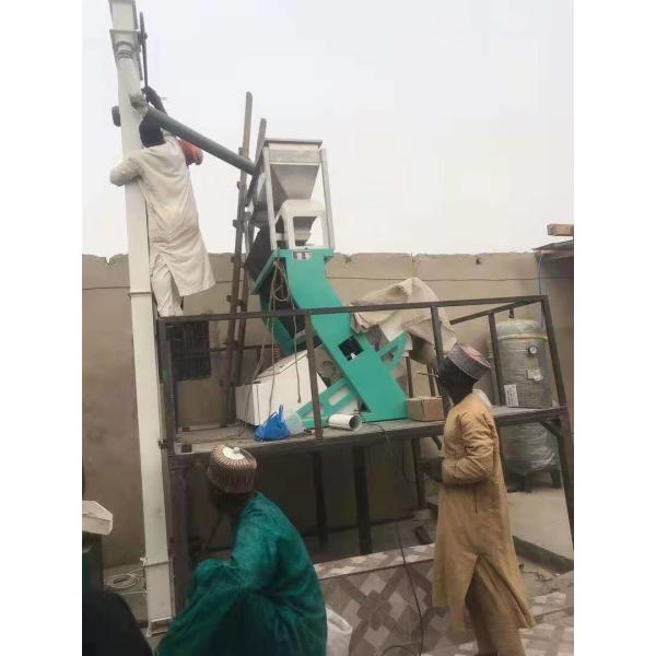 Кофейные зерна красят сортировщицу, электронные каналы сортировщицы 384 цвета 6 парашютов