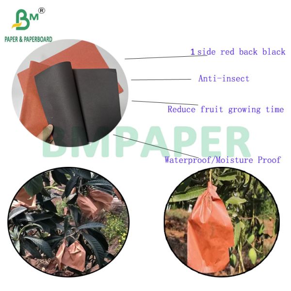 56gsm 380mm 400mm Pest Prevention Mango Growing Bags Paper To Fruit Protect Bags