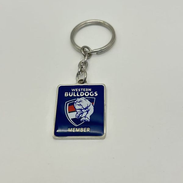 Custom car metal keychain/Zinc alloy metal key chain keyring with box