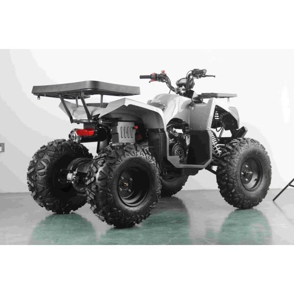 Powerful 200cc Gas ATV for Adults Maximum Torque of 40-60Nm and Top Speed of 75km/h