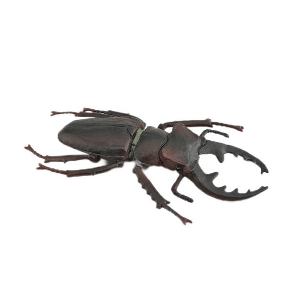 Insecto Figuras Modelo Brinquedo Sorbus Serrata Figuras Festas Favores Suministros Torta Toppers Decoração Set Brinquedos