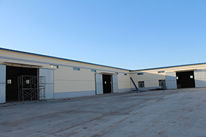 оптом Сушеные семена подсолнечника Фабрика Прямая сырая оптом T6 Семена подсолнечника