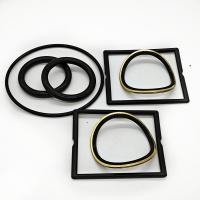 Serviço padrão Buna/HNBR/FKM 3'SPM Kit de reparação de válvulas de enchufe