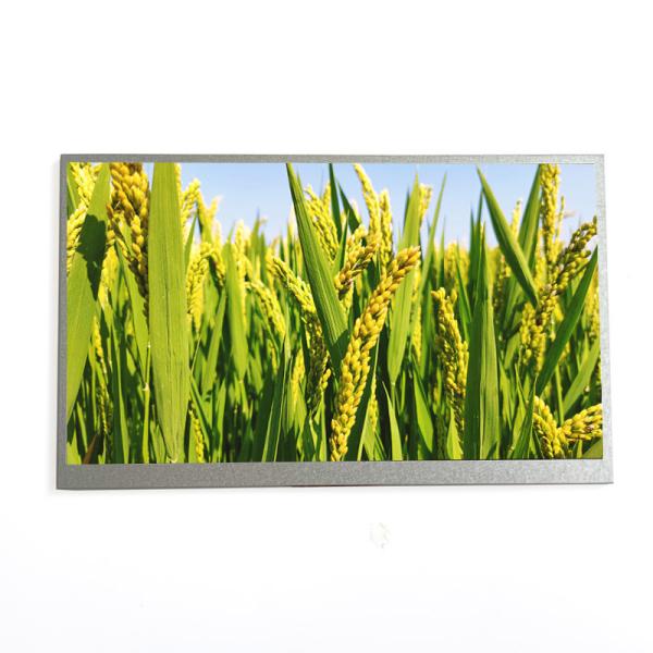 Smart Home 10.1 Inch TN TFT LCD Screen 1024x600 Resolution LVDS Interface LCD Display