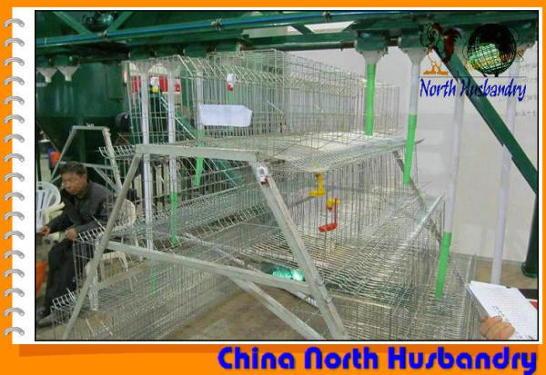 Poultry production | Egg production in poultry cages | Big Dutchman