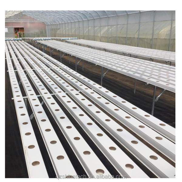 Ventilated Hot Dip Galvanized Steel Tube Frame Tunnel Agriculture Film Greenhouse
