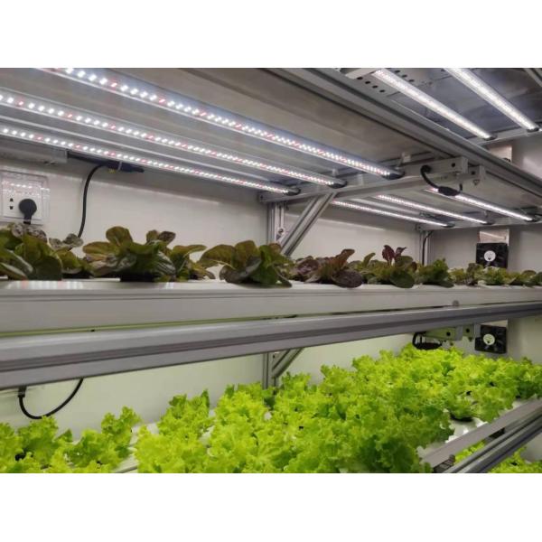 Теплица для судоходных контейнеров для гидропонного вертикального земледелия в коммерческой промышленности