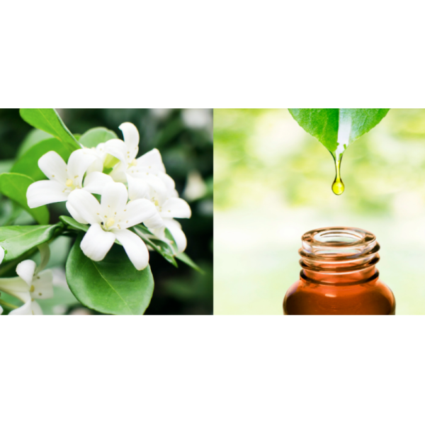 Fragrances For Body Wash Orange Jasmine Fragrance Essence  Oil For Shampoo and Shower Gel & Scented Soap Making- IFRA