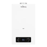 Appareil de chauffage à l'eau à gaz à double bouton de type 10L 2,64 GPM