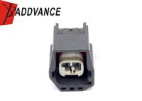 YB Connector PBT GF10 2 Pin Female Electrical Wiring Connector for Automotive