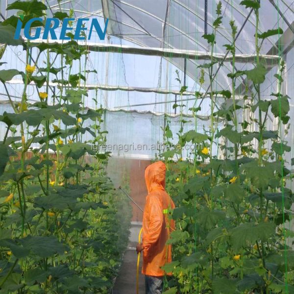 IGreen Multi-Span Agricultural Greenhouse with PE Film Cover Single Layer Customizable Size