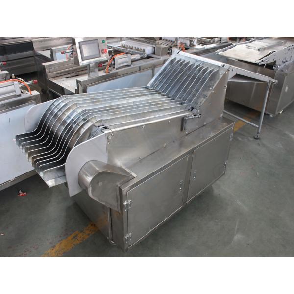 Industrial Biscuit Making Machine for Soft and Hard Biscuit Manufacturing Process