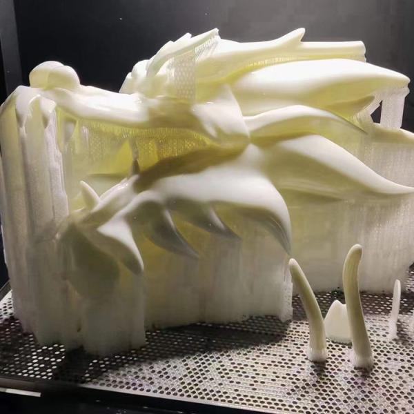 3d печатая быстрые обслуживания прототипирования для взгляда украдкой ювелирных изделий пластикового