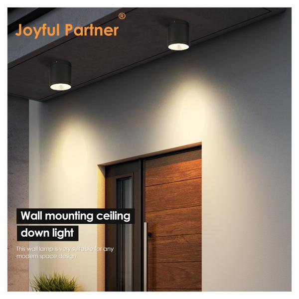 15W COB LED Downlight Cylinder DIA110MM Screw Fix Extruded Aluminum Alloy Housing For Outdoor Application