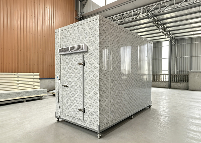 Fast Installtion Portable Cold Storage Room | Mobile Walk-In Cooler