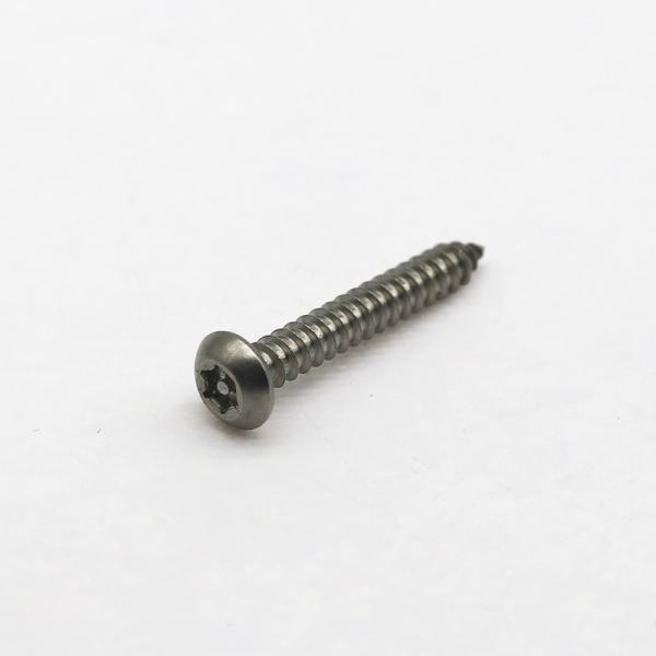Industrial Custom Anti Theft Screw Stainless Steel Safety Fasteners