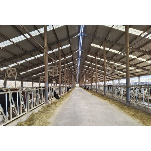 2.5 - 4.5 Meters Steel Structure Poultry House Chicken Coop Steel Frame EN1990