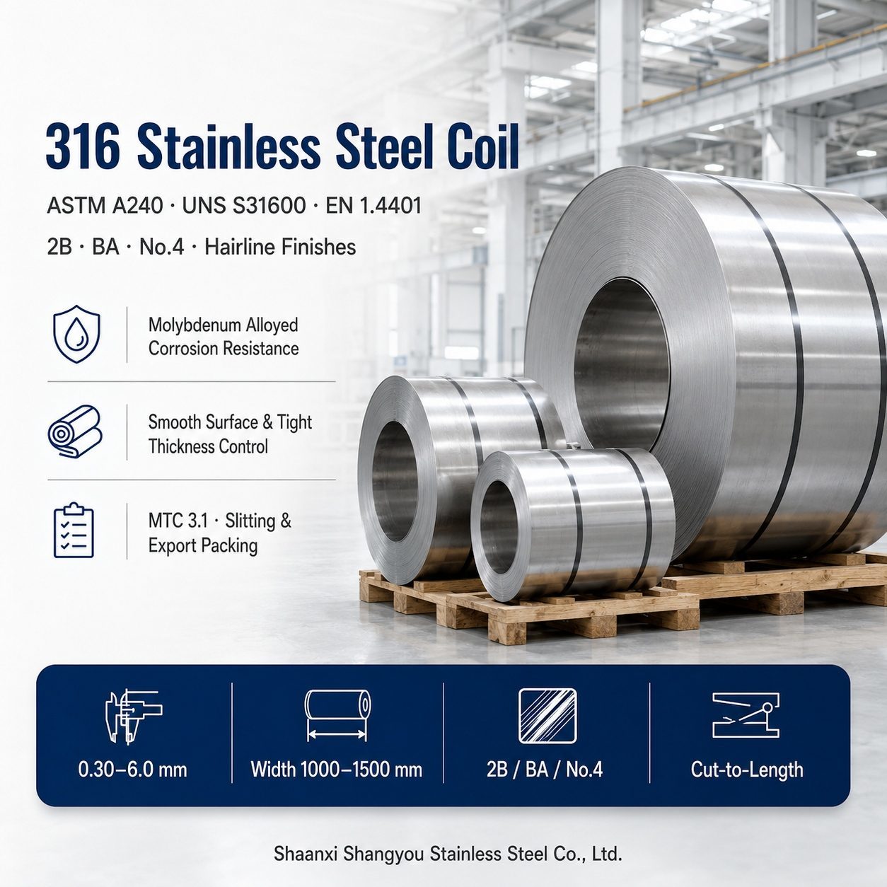 316 Molybdenum Alloyed Stainless Steel Coil for Chloride Resistant Industrial Applications  ASTM A240