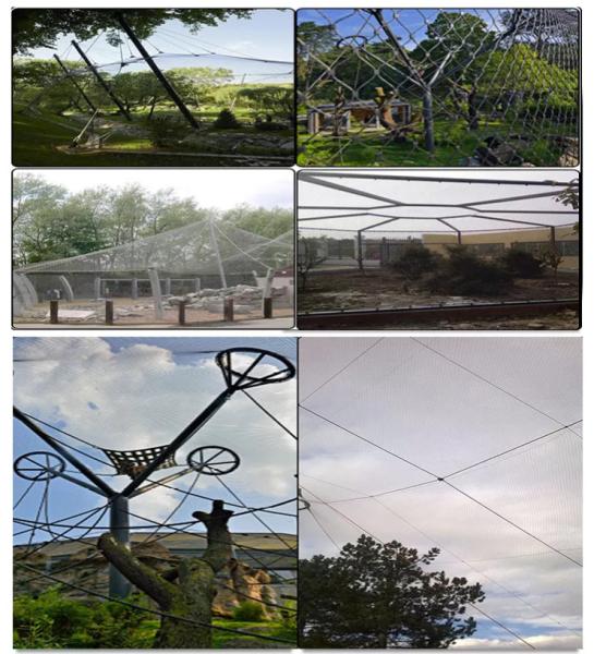 Stainless steel wire rope mesh net / slope protection network
