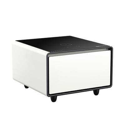 Private Mold Smart Mini Fridge for Hotel Bedroom Living Room Furniture Refrigerator