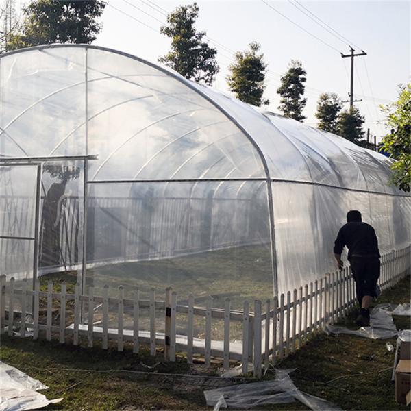 Único túnel do período que cresce a estufa mestra agrícola do filme plástico de Sun