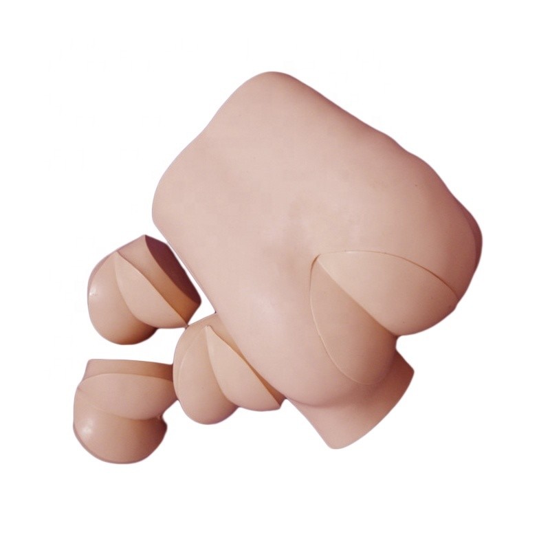 Advanced DRE Nursing Training Simulator Clinical Skills Model for Rectal Touch Examination