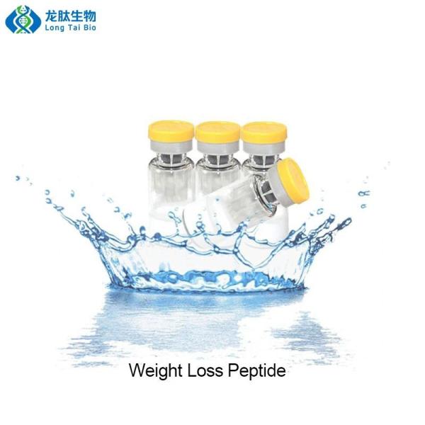 Weight Loss Peptides Purity 99% Wholesales Price 2mg 5mg 10mg Semaglutide CAS: 910463-68-2