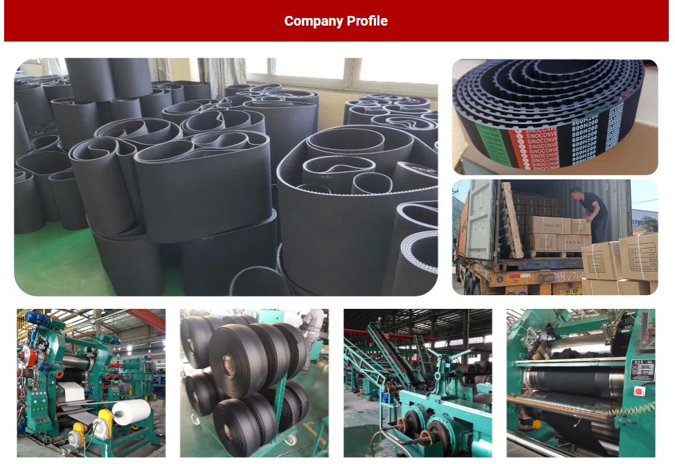 High Quality Transmission V Belt EPDM Engine Belt Timing Belt Conveyor Belt Auto Spare Parts Pj pH Pm Pk Pl Rubber Fan Belt Poly Ribbed V Belt for Engine Parts