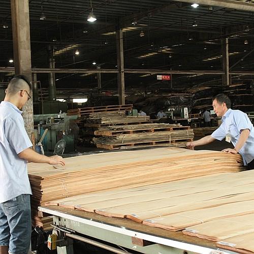 Flat Cut Crown Cut Natural Cherry Wood Veneer 0.15-0.5mm For Panel And Furniture Face