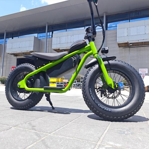 60-70 Nm Torque Little Fat Tire Electric Dirt Bike for Kids 13AH Chopper Motorcycles