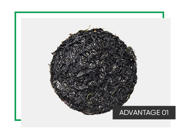 Delicious Seaweed Superfood New Harvest Dried Porphyra Seaweed Unlock the Nutritional Power of the Sea