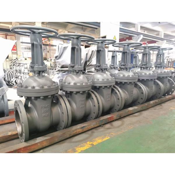 Résistance à la corrosion des vannes de porte en acier au carbone de haute résistance de 24 pouces pour l'industrie pétrolière, chimique et électrique