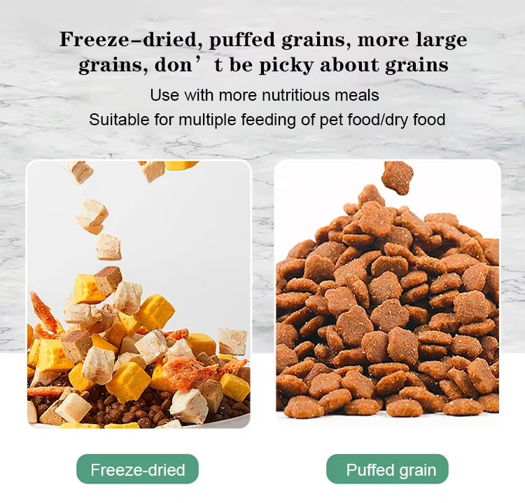 Smart WIFI Automatic Pet Feeder Solid Pattern Stainless Steel Mobile Phone Remote Control Via APP New Dual Chargeable Plastic