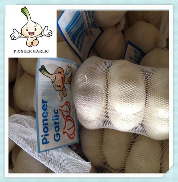 Chinese Cheap White Garlic With Good Quality mesh bag export 5cm normal white garlic