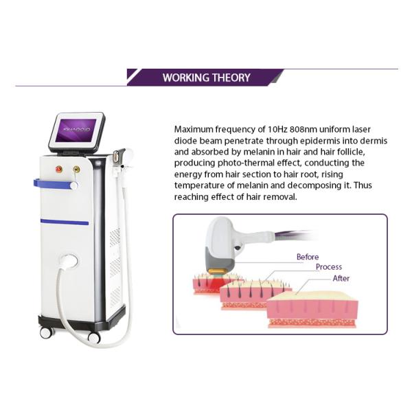 Beauty Salon Diode Hair Removal Laser Machine , IPL Hair Removal System AC 220V / 50Hz