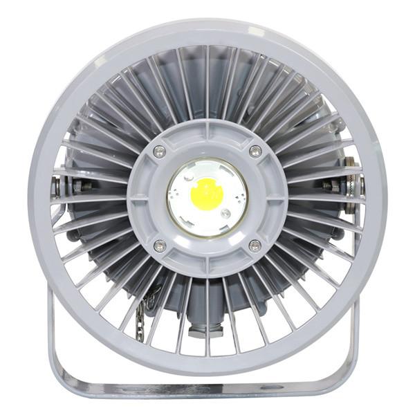 IP66 LED Explosion Proof Lights 20W Maintenance free
