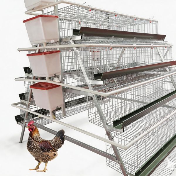 cheap price Quality A/H Type Egg Laying Equipment Hen Poultry Farm Chicken Cages