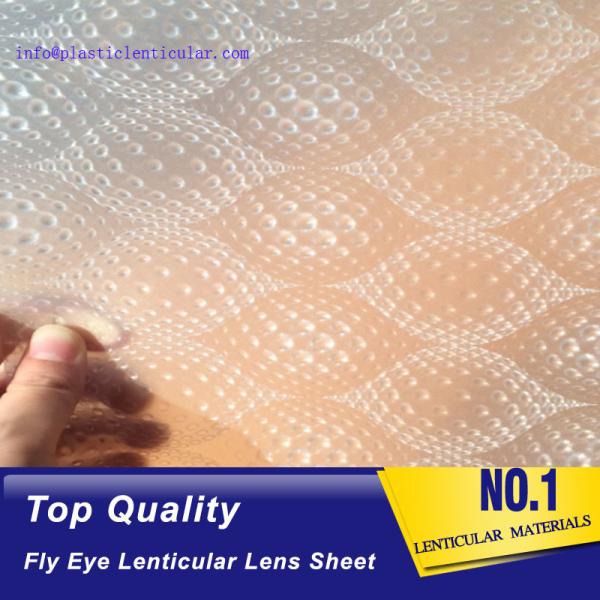 PLASTIC LENTICULAR PP materical 3d Fly eye lenticular film sheet with small dots at the surface