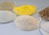 Enzyme alcoolique de la protéase acide pour les industries de transformation alimentaire