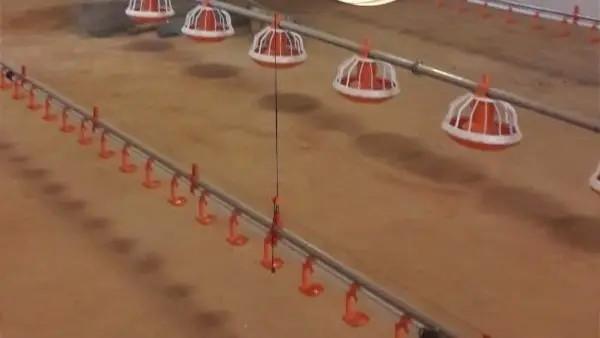 Bandeja de alimentação de frango de aves para criadores de frangos de corte codorna ganso galinhas aves alimentando equipamentos de piso térreo