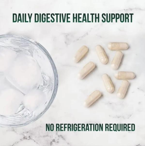 Gut Health Probiotics Capsules Supplements For Women Support Digestive Healthy