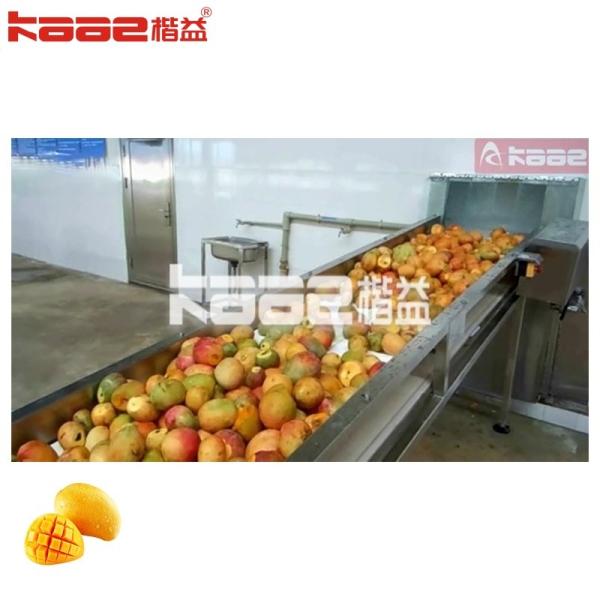 Automated Mango Juice Beverage Making Machine Mango Processing Production Line