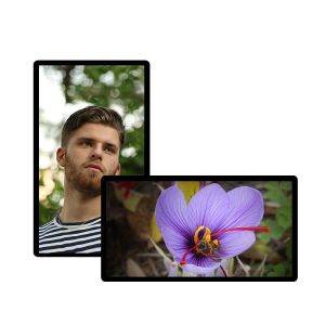 Wall Mounted Digital Signage