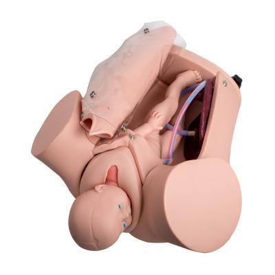 Colleges Two Fetus Childbirth Simulator Baby Delivery Simulator